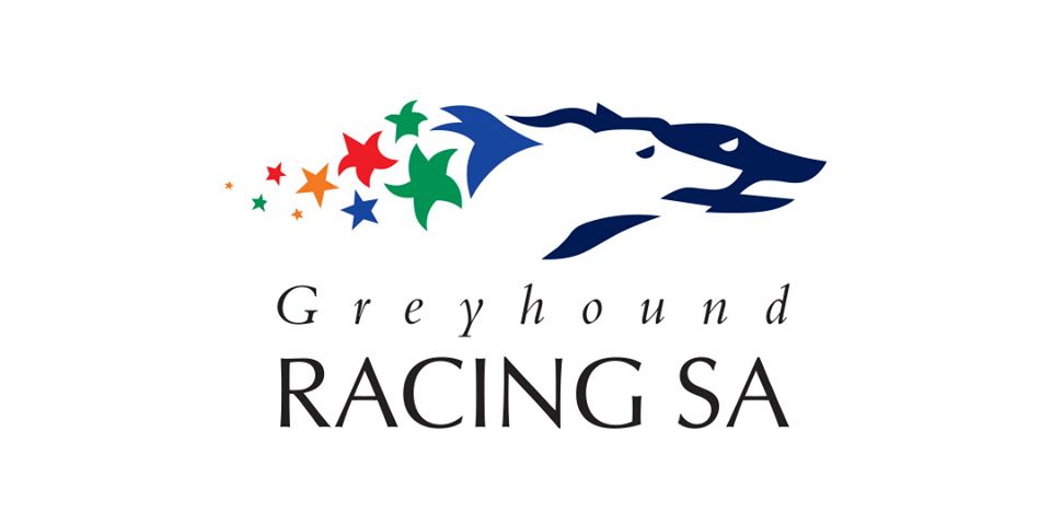 FINALISTS FOR THE 2023 TAB SA GREYHOUND OF THE YEAR