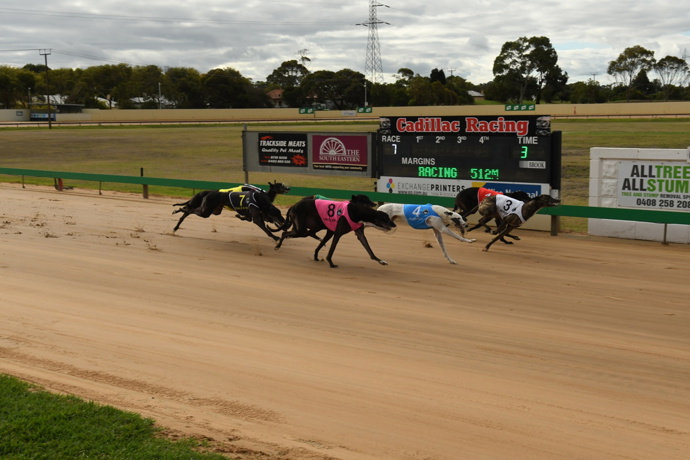 Ron makes the right call - Mount Gambier Week in Review