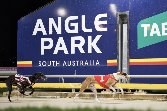 SA hopefuls looking to launch to Sandown - Angle Park Preview
